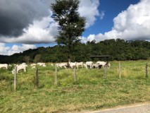 Bauernhof zu Verkaufen in Brasilien