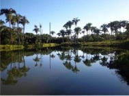 Cattle farm with breeding and beef fattering