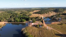 Cattle farm sale in Tocantins,Brazil