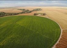 Fazendas e Terras no Maranhão