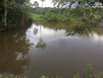 Fazenda para agricultura no Tocantins