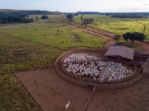 Fazenda á venda porteira fechada no Goiatins TO