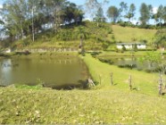 Vende-se sítio com 121000m²